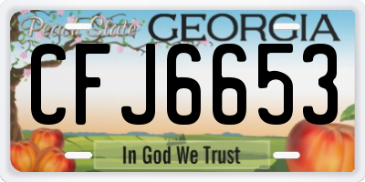 GA license plate CFJ6653