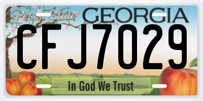 GA license plate CFJ7029