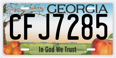 GA license plate CFJ7285