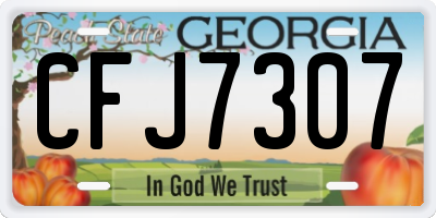 GA license plate CFJ7307
