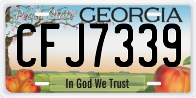 GA license plate CFJ7339