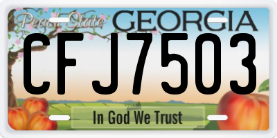 GA license plate CFJ7503
