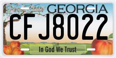 GA license plate CFJ8022