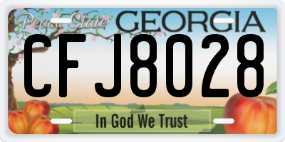GA license plate CFJ8028