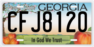 GA license plate CFJ8120