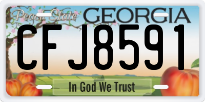 GA license plate CFJ8591