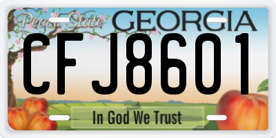 GA license plate CFJ8601