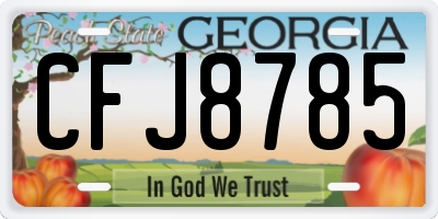 GA license plate CFJ8785