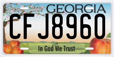 GA license plate CFJ8960