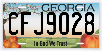 GA license plate CFJ9028