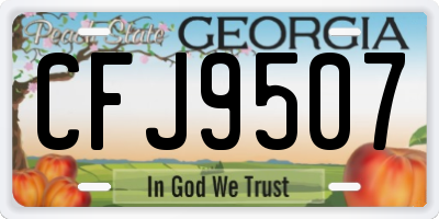 GA license plate CFJ9507