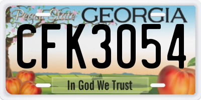 GA license plate CFK3054