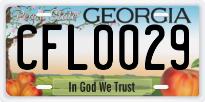 GA license plate CFL0029