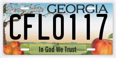GA license plate CFL0117