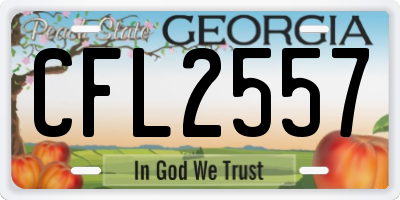 GA license plate CFL2557