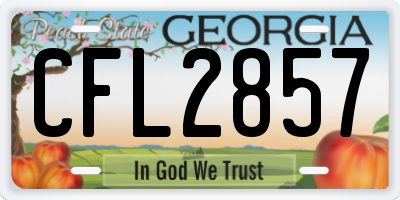 GA license plate CFL2857