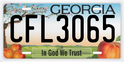 GA license plate CFL3065