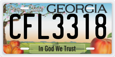 GA license plate CFL3318
