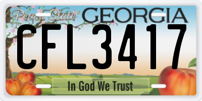 GA license plate CFL3417