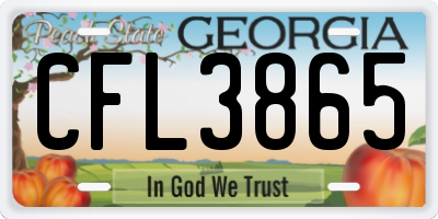 GA license plate CFL3865