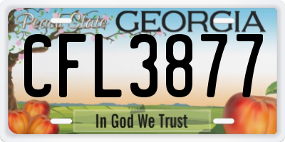 GA license plate CFL3877