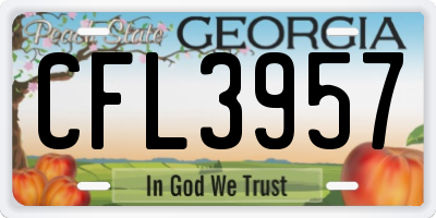 GA license plate CFL3957