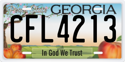 GA license plate CFL4213