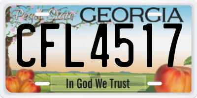 GA license plate CFL4517