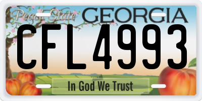 GA license plate CFL4993