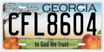 GA license plate CFL8604