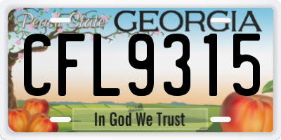 GA license plate CFL9315