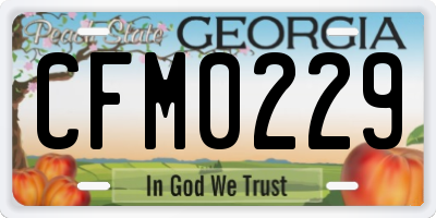 GA license plate CFM0229
