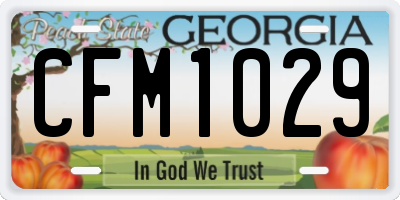 GA license plate CFM1029