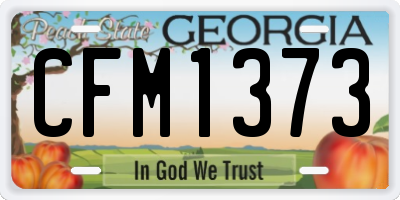 GA license plate CFM1373