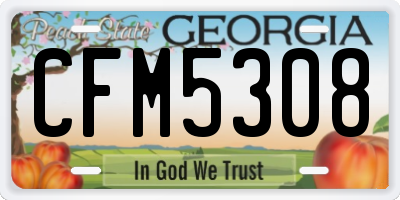 GA license plate CFM5308