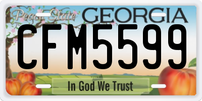 GA license plate CFM5599