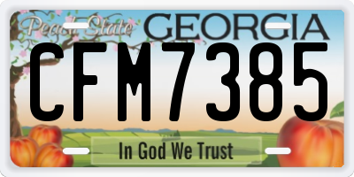 GA license plate CFM7385