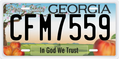 GA license plate CFM7559