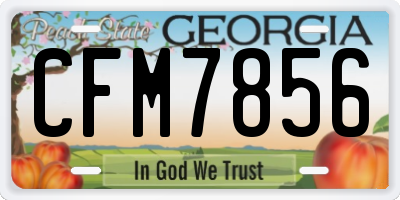 GA license plate CFM7856