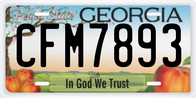 GA license plate CFM7893