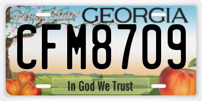 GA license plate CFM8709