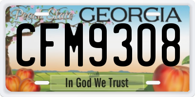 GA license plate CFM9308