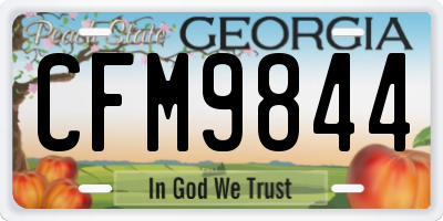 GA license plate CFM9844