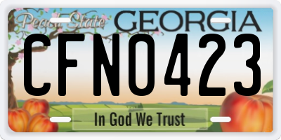 GA license plate CFN0423
