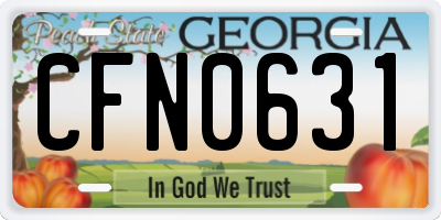 GA license plate CFN0631