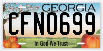 GA license plate CFN0699