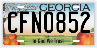 GA license plate CFN0852