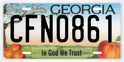 GA license plate CFN0861
