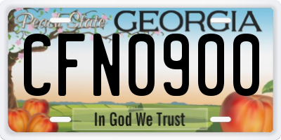 GA license plate CFN0900