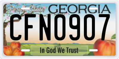 GA license plate CFN0907